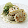Scallops with Tarragon Cream and Wilted Butter Lettuce